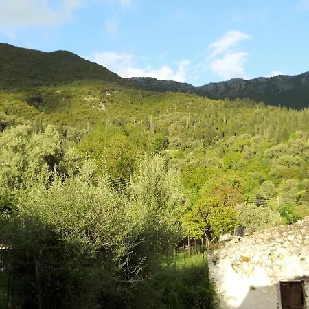 公寓 莱夫卡达一室公寓 *