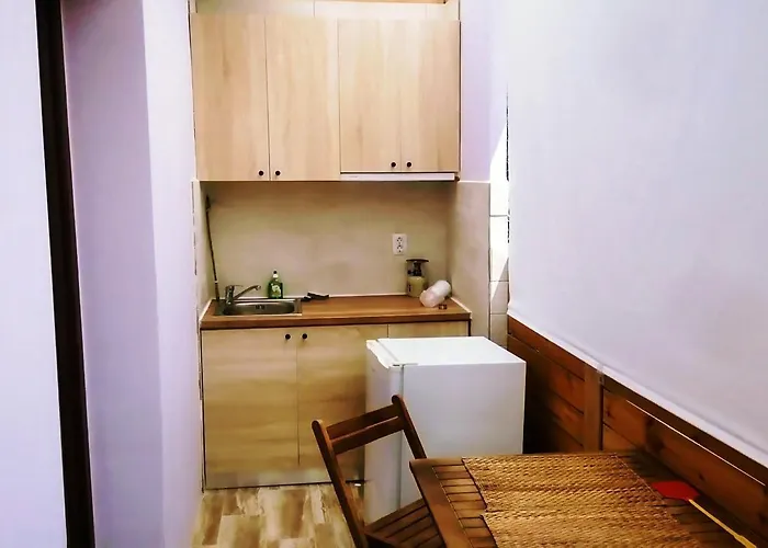 公寓 莱夫卡达一室公寓 *