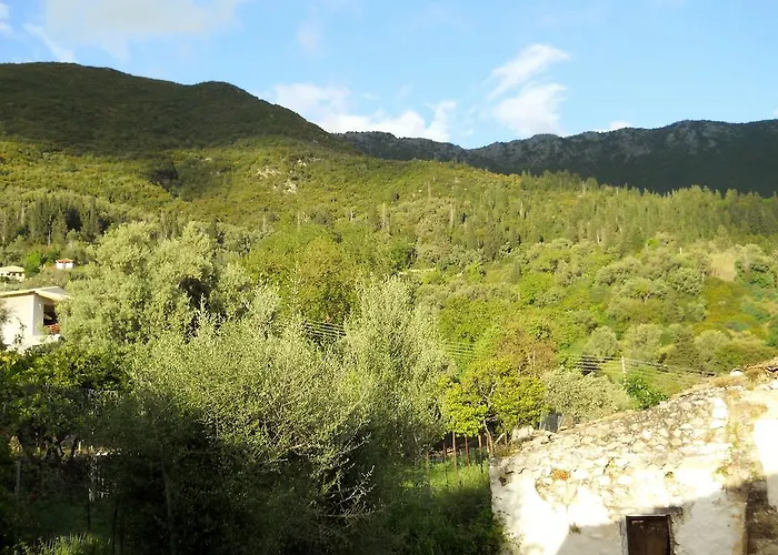 公寓 莱夫卡达一室公寓 *