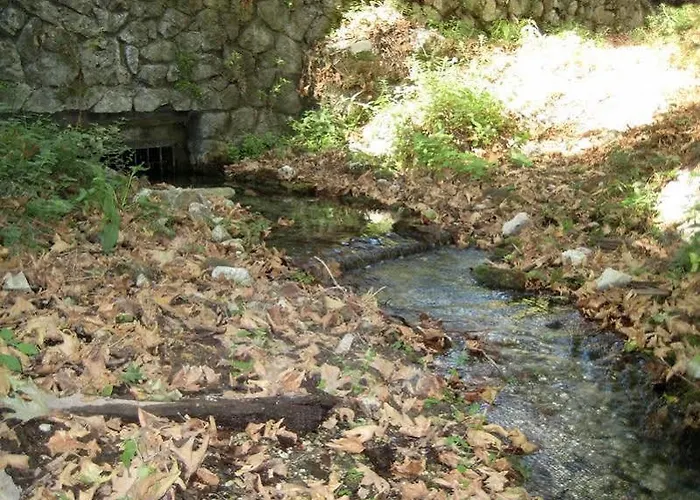 莱夫卡达一室公寓 公寓 *