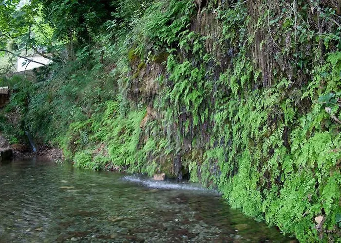 公寓 莱夫卡达一室公寓